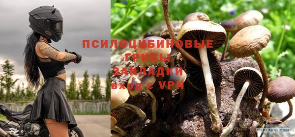 mdpv Богородск