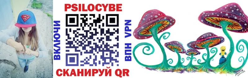 Псилоцибиновые грибы Cubensis  kraken маркетплейс  Пионерский 